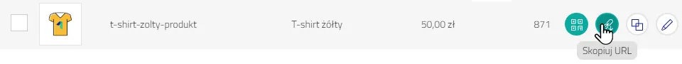 screen_skopiuj_url.webp